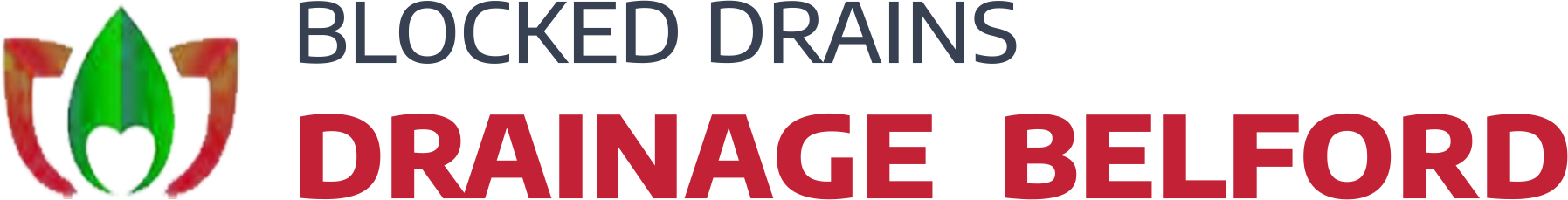 website logo